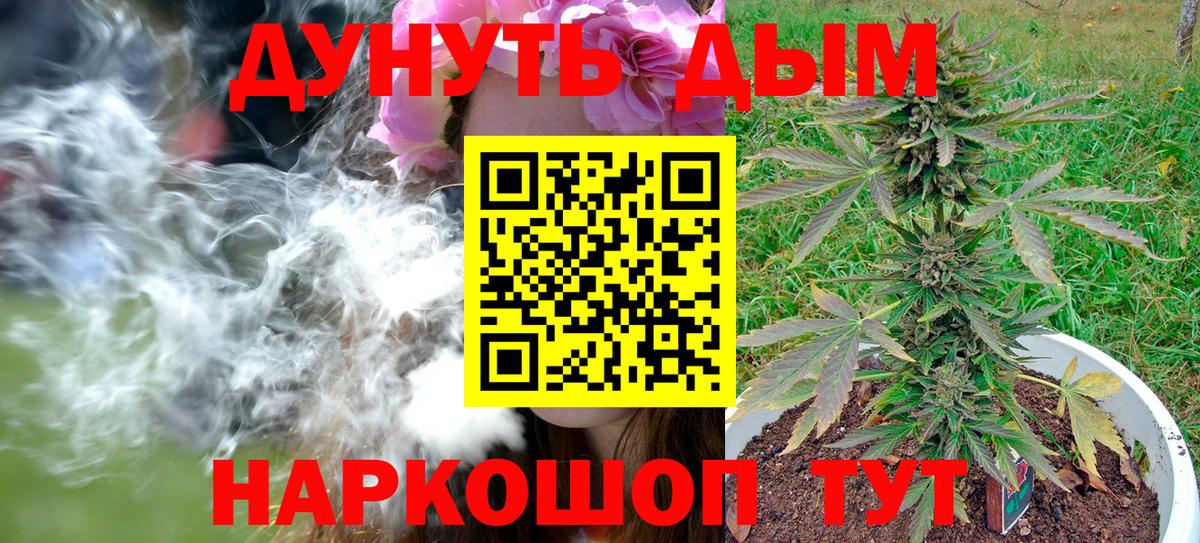 Марихуана конопля  Вход с VPN  Кисловодск  Каннабис план  Конопля MAZAR 